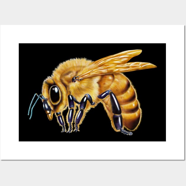 Honey Bee Wall Art by Tim Jeffs Art